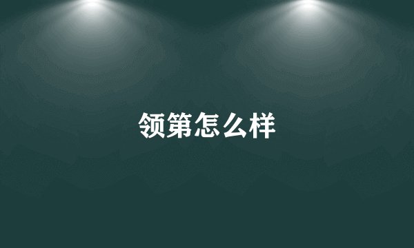 领第怎么样