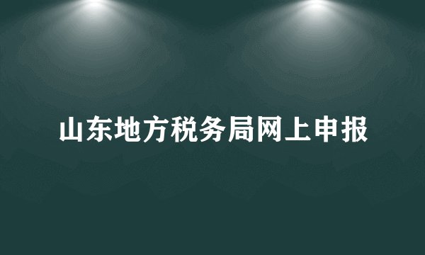 山东地方税务局网上申报