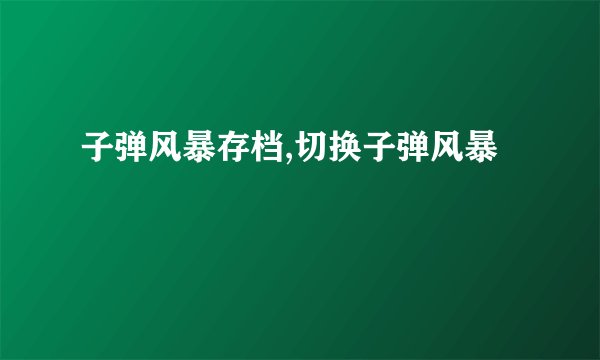 子弹风暴存档,切换子弹风暴