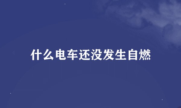 什么电车还没发生自燃