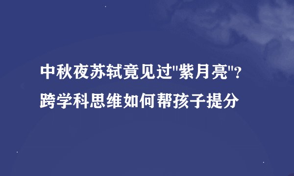 中秋夜苏轼竟见过