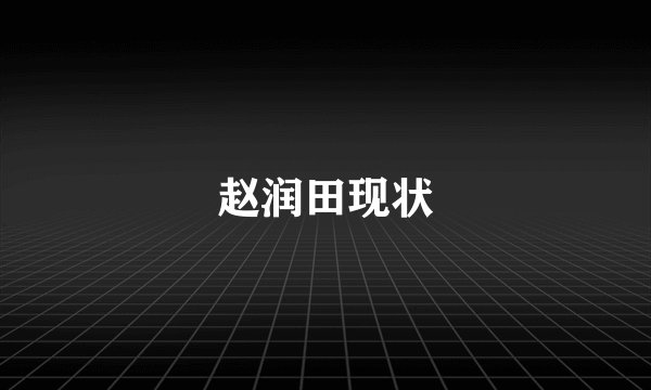 赵润田现状