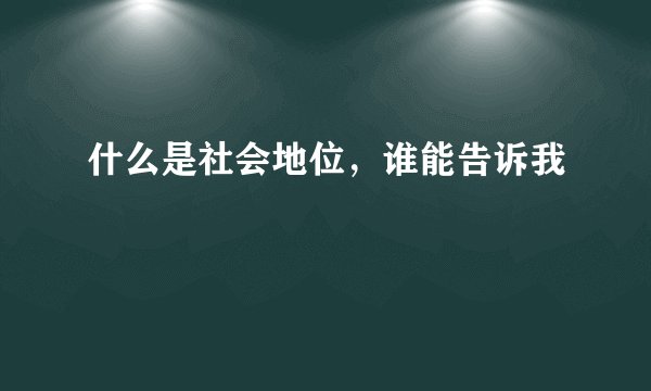 什么是社会地位，谁能告诉我