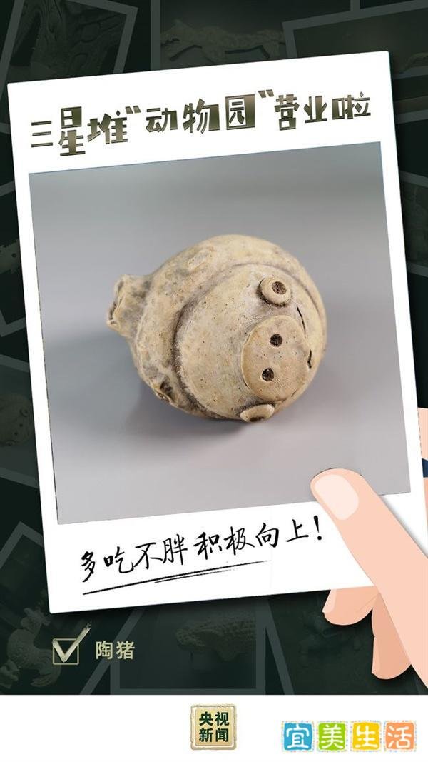 三星堆“动物园”营业啦 这是咋情况？