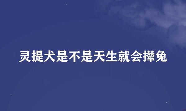 灵提犬是不是天生就会撵兔