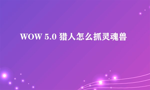 WOW 5.0 猎人怎么抓灵魂兽