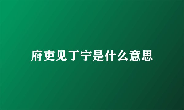 府吏见丁宁是什么意思