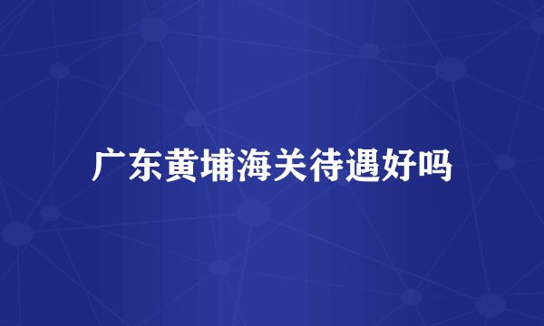 广东黄埔海关待遇好吗