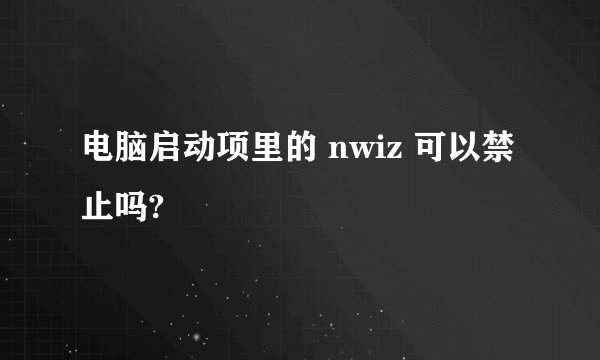 电脑启动项里的 nwiz 可以禁止吗?