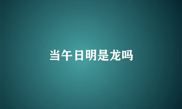 当午日明是龙吗