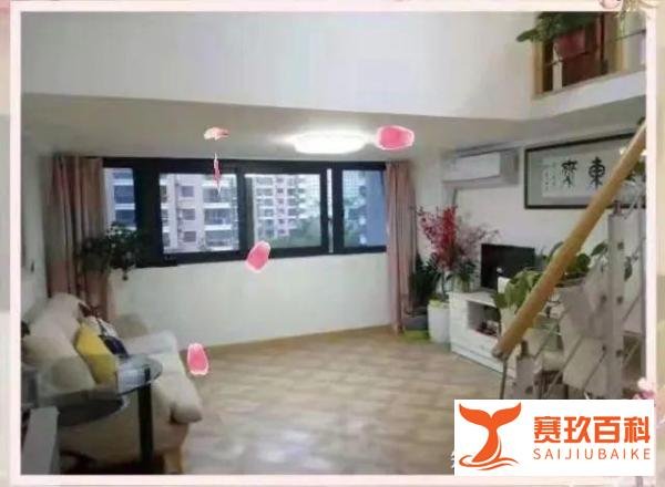 杭州女子睡3小时打5份工, 买下2套房! 她的这张计划表把人看哭了...