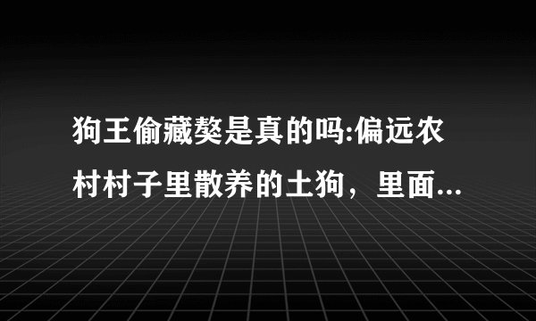 狗王偷藏獒是真的吗:偏远农村村子里散养的土狗，里面的狗王是怎么样形成的？