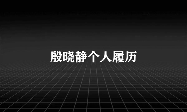 殷晓静个人履历