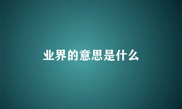业界的意思是什么