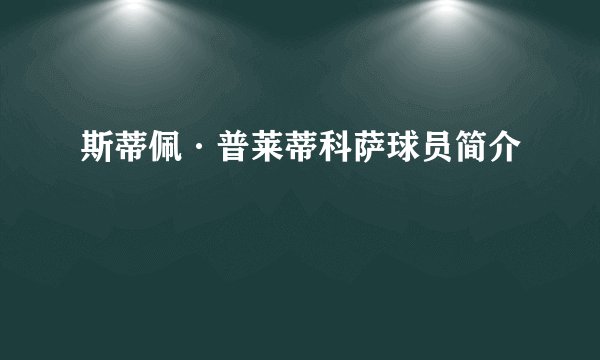 斯蒂佩·普莱蒂科萨球员简介