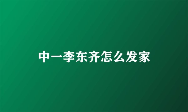 中一李东齐怎么发家