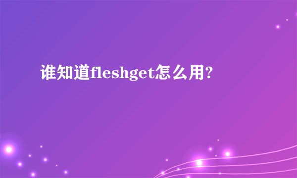 谁知道fleshget怎么用?