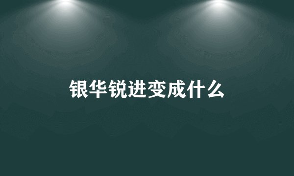 银华锐进变成什么