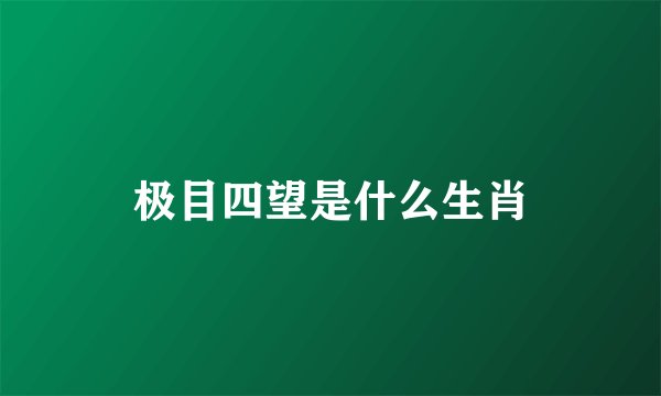 极目四望是什么生肖