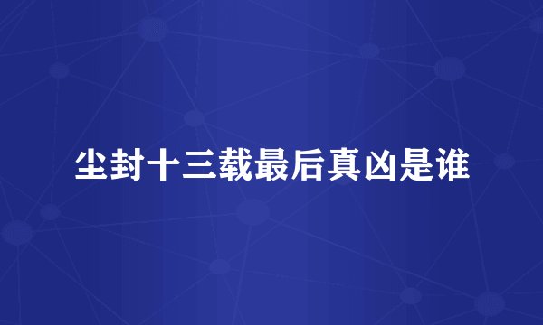 尘封十三载最后真凶是谁