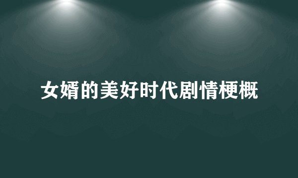 女婿的美好时代剧情梗概