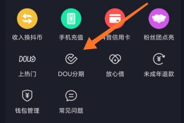 dou分期是什么?