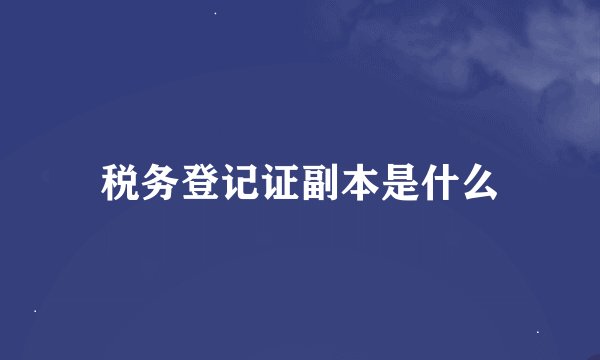 税务登记证副本是什么