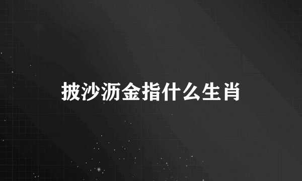 披沙沥金指什么生肖
