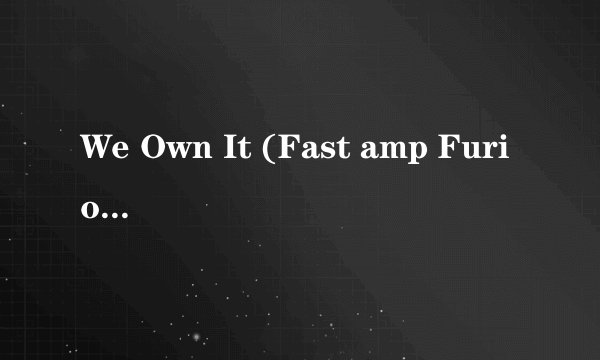 We Own It (Fast amp Furious) 中文意思