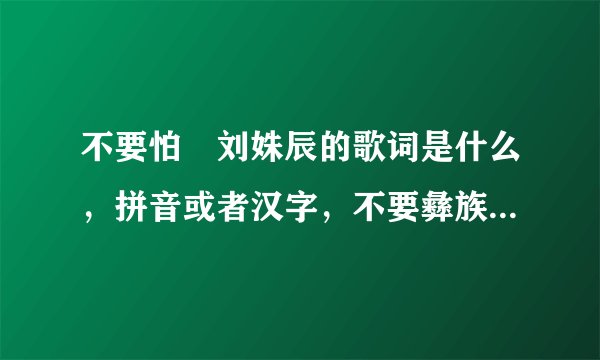 不要怕 刘姝辰的歌词是什么，拼音或者汉字，不要彝族的方言。