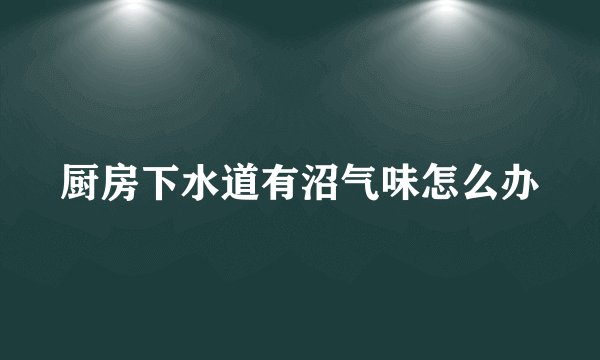 厨房下水道有沼气味怎么办
