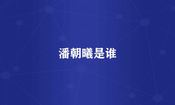潘朝曦是谁