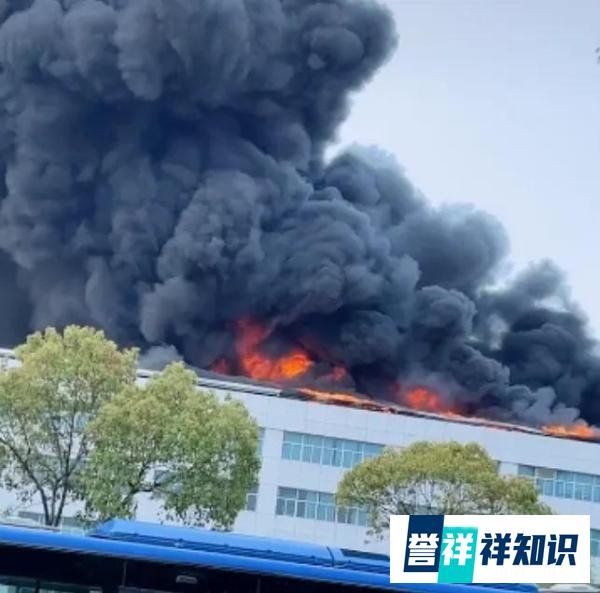 突发:浙江温州网红电子厂起火,火势猛烈