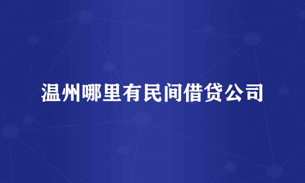 温州哪里有民间借贷公司