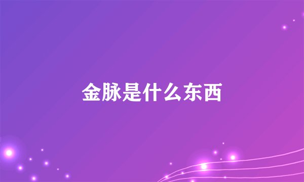 金脉是什么东西
