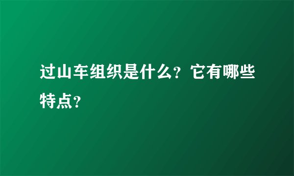过山车组织是什么？它有哪些特点？