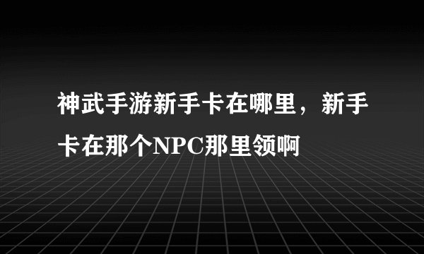 神武手游新手卡在哪里，新手卡在那个NPC那里领啊