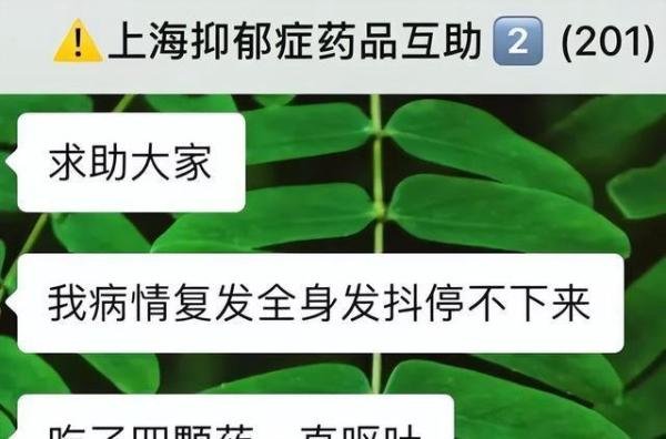 上海700名抑郁症患者找药群,在四月最后一天解散了