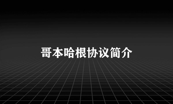 哥本哈根协议简介