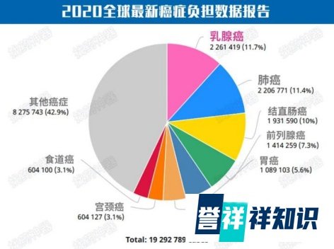 2000个失去乳房的女人成团出道：淋过雨，所以想为别人撑把伞