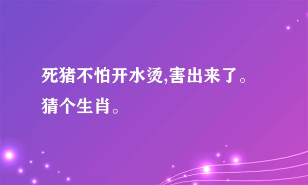 死猪不怕开水烫,害出来了。猜个生肖。