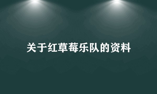关于红草莓乐队的资料