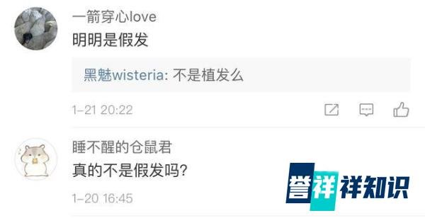 阿尔法植发还是戴假发,网友的评论绝了?