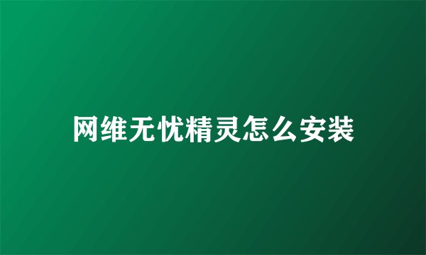 网维无忧精灵怎么安装