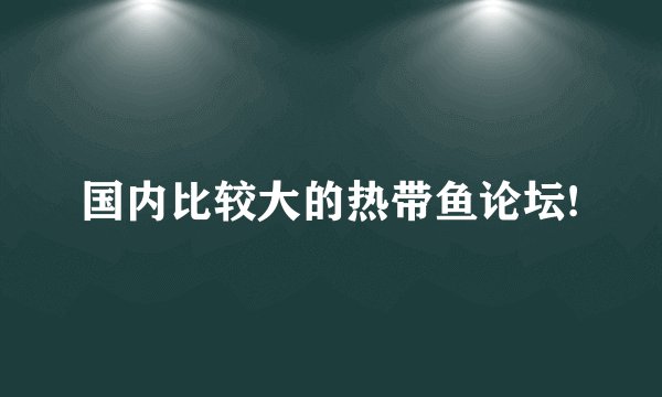 国内比较大的热带鱼论坛!