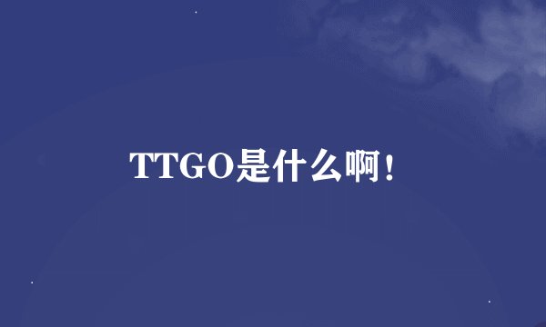 TTGO是什么啊！