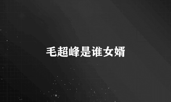毛超峰是谁女婿