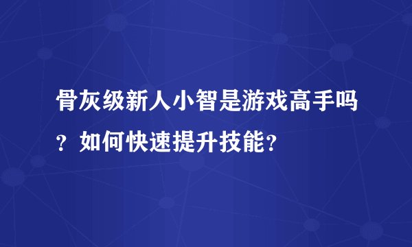 预报一页通是什么？如何使用它更高效？