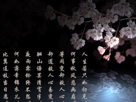 向来缘浅,奈何情深.是什么意思？