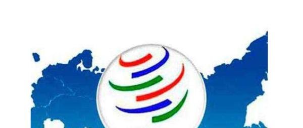 WTO15年保护期是什么意思